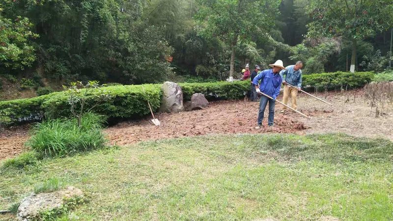 市政草坪鋪設人工費標準解析：影響因素與合理預算