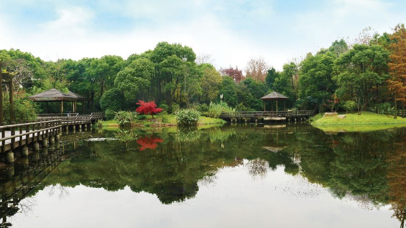邊坡防護(hù)綠化工程：如何選擇專(zhuān)業(yè)可靠的施工公司