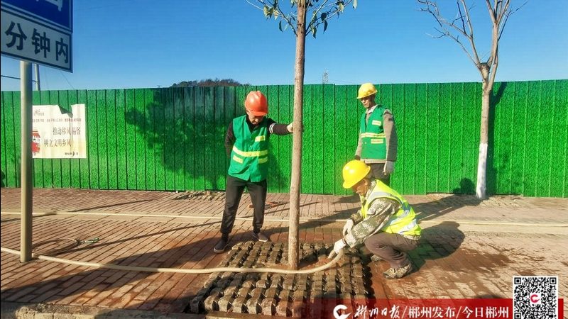成都立體綠化廠家報價解析：揭秘立體綠化的成本與價值