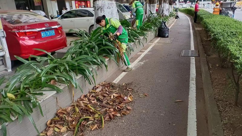 園林綠化病蟲害防治，如何做到精準(zhǔn)高效？**