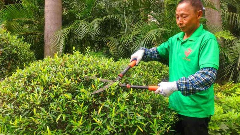屋頂草坪防水層施工方法解析