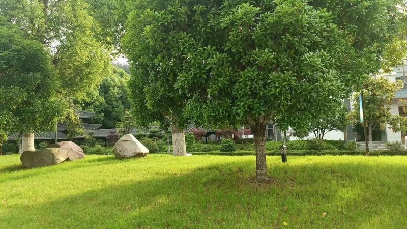 山地苗木裸根種植的五大關(guān)鍵技巧