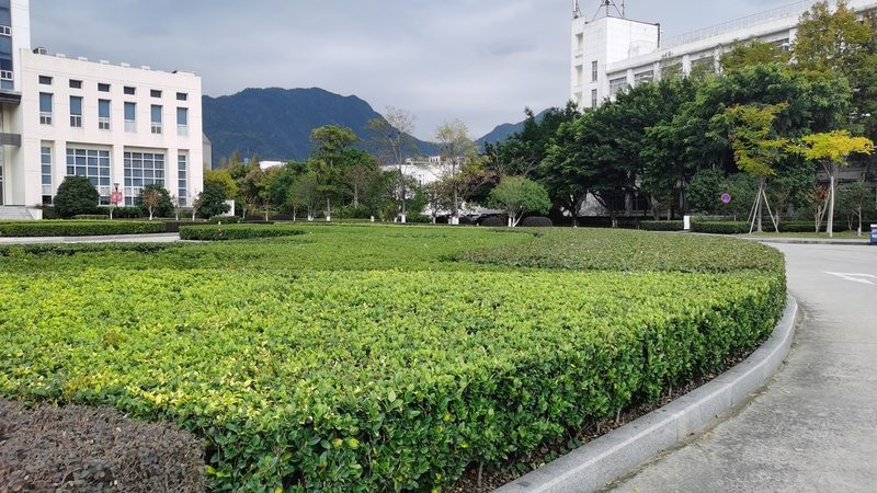 草坪鋪設(shè)加盟代理合同模板：關(guān)鍵條款解析與注意事項(xiàng)