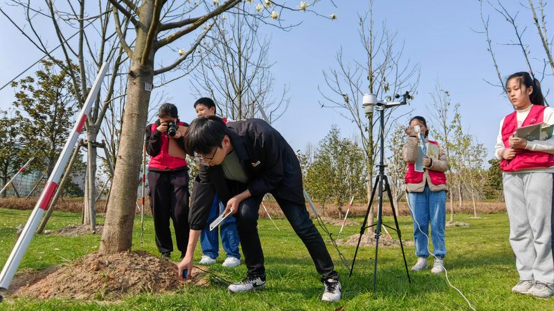 現(xiàn)代中式庭院與日式庭院：風(fēng)格與理念的交融與區(qū)別**